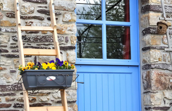 porte bleue et jardinières sur une échelle