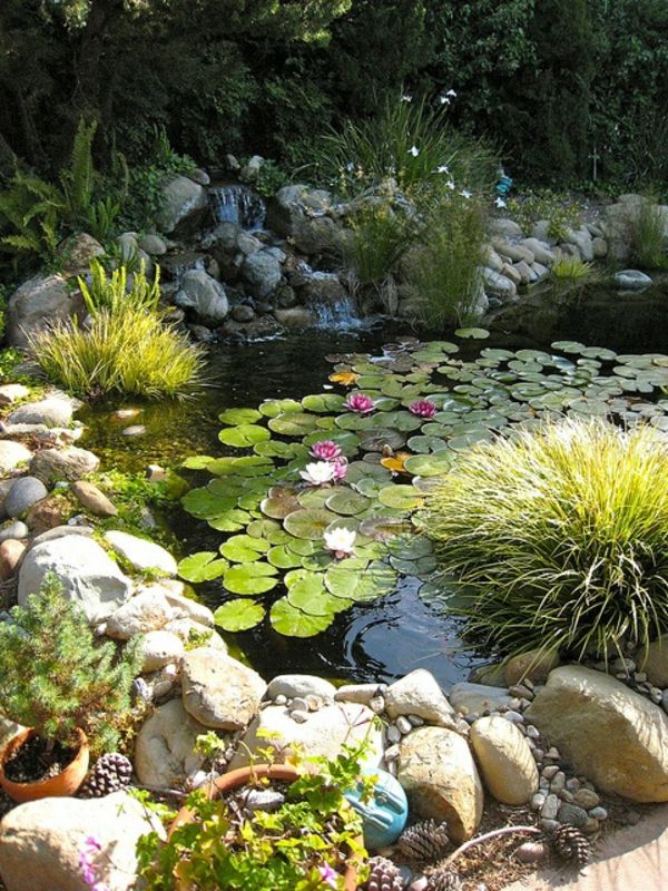 bassin de jardin blog