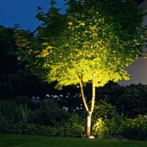 lampe solaire pour arbre