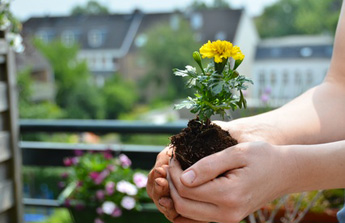 Le jardin en mode urbain