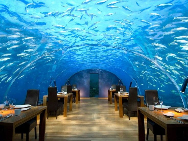 Repas avec vue sur les fonds marins inclus ! Hotel-restaurant aux Maldives pour explorer les fonds marins