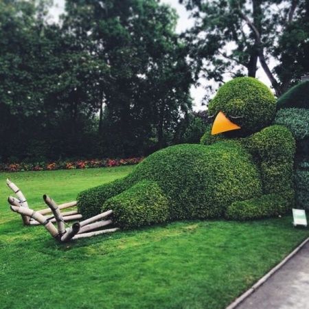 Quand la nature s'endort avec imagination ! Crédit photo : Pinterest / demotivateur.fr Un animal endormi taillé dans un buisson géant