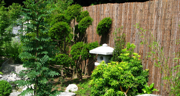 3 manières de protéger son jardin du regard des voisins