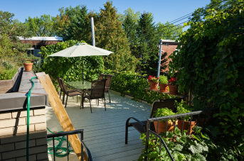 cloison pour séparer les jardins