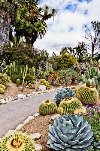 Huntington Garden en Californie