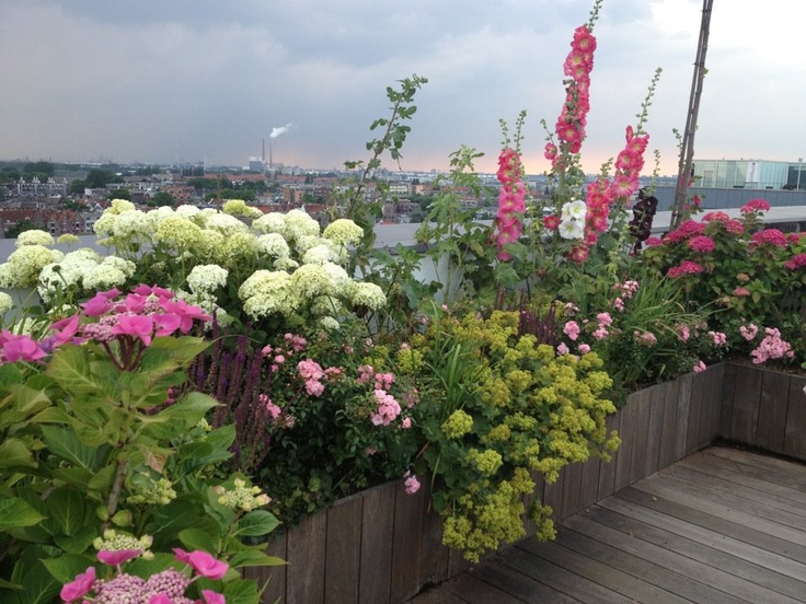 Coin de verdure dans la ville... Fleurs et plantations diverses pour toit terrasse