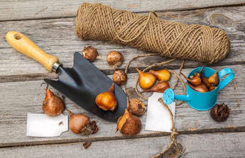 Rentrée des classes, rentrée au jardin !