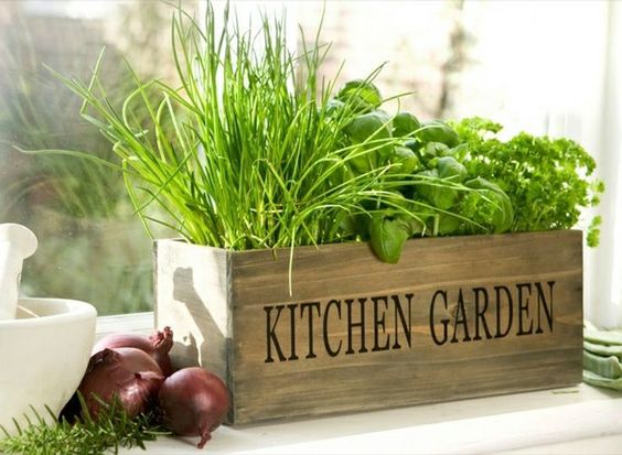 Des aromates à portée de main dans la cuisine, c'est très pratique ! Crédit photo : Pinterest/designferia.com lot de plantes aromatiques à l'intérieur de la cuisine