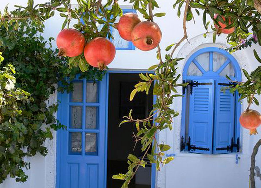 Download Toutes les maisons blanches Free