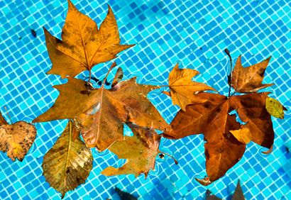Dès l'arrivée des beaux jours, enlevez les feuilles mortes trombes dans l'eau ! Crédit photo : Pinterest/Coup de pouce des feuilles mortes tombent dans la piscine au printemps