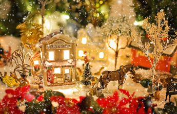 Les faux-pas des décorations de Noël ???