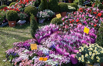 Avec le salon Jardins en Seine, votre extérieur se bonifie… et les abris y participent !