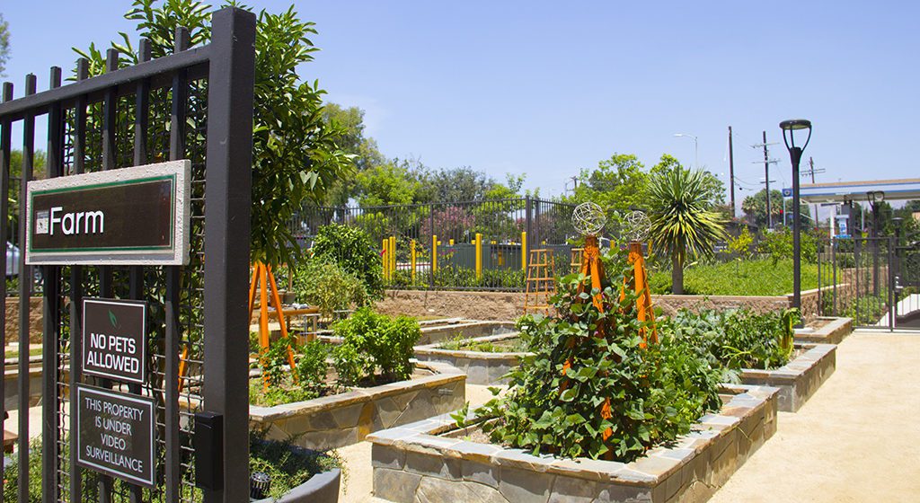 Abri potager pour les pros en entreprise