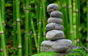 Un rendez-vous des plantes à Beauvais, en septembre