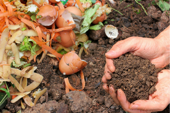 Le composteur, au service de nos jardins