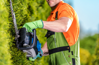 C’est l’automne : il est temps de sortir le taille-haie de votre abri de jardin !