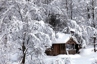 Quel abri de jardin à la montagne ?