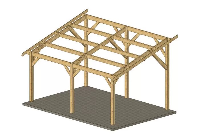 charpente bois monopente