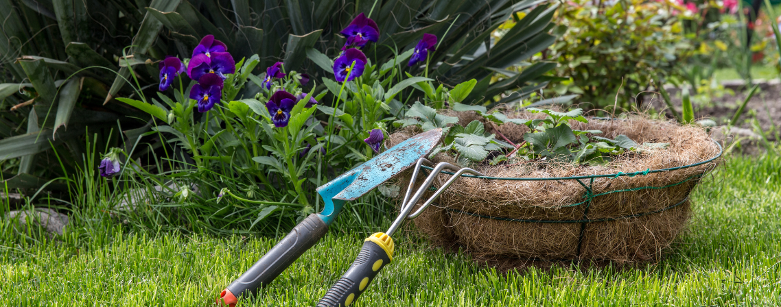 Ne ratez pas votre rentrée... au jardin !