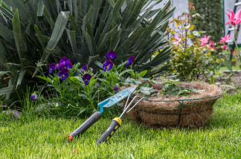 Ne ratez pas votre rentrée… au jardin !