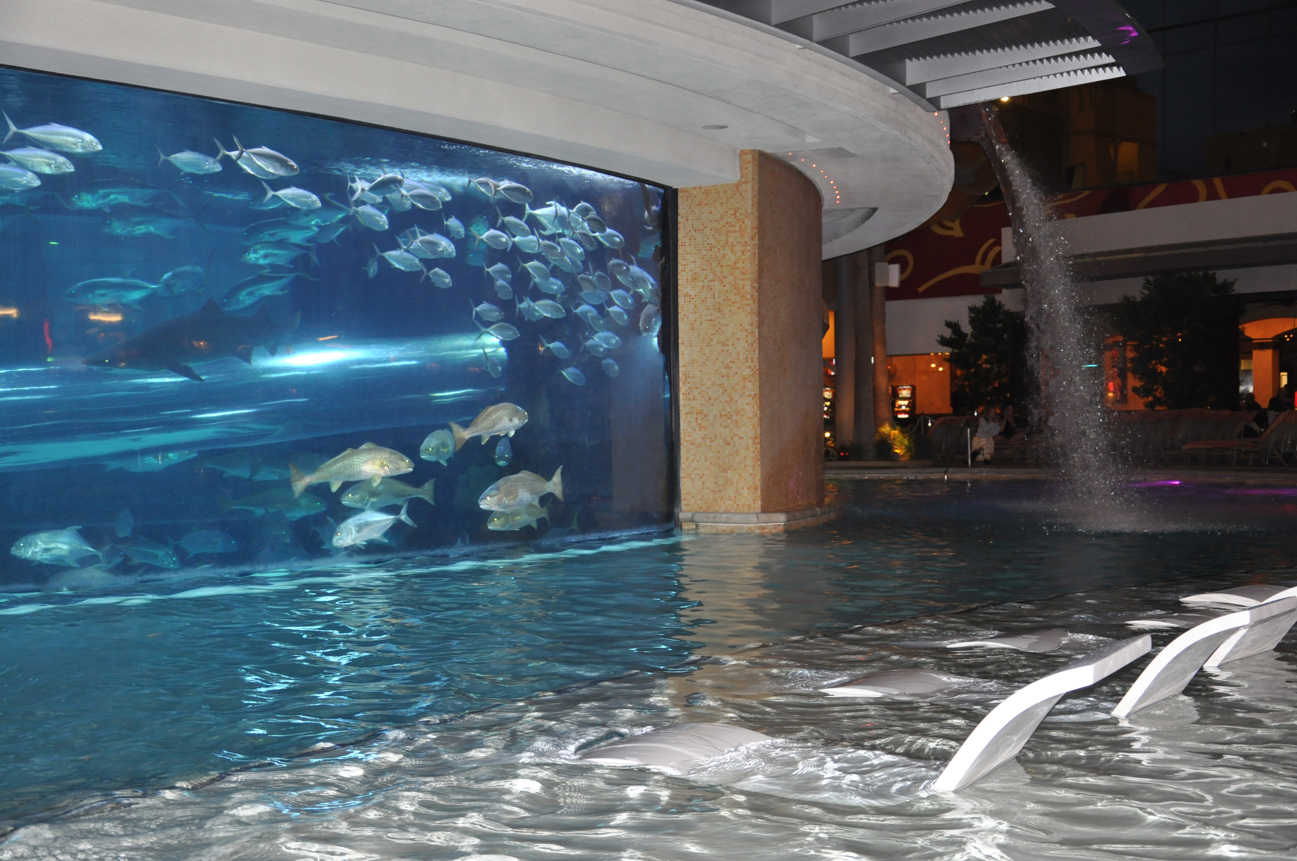 Piscine avec aquarium et bassin aux requins à l'hôtel Golden Nugget de Las Vegas